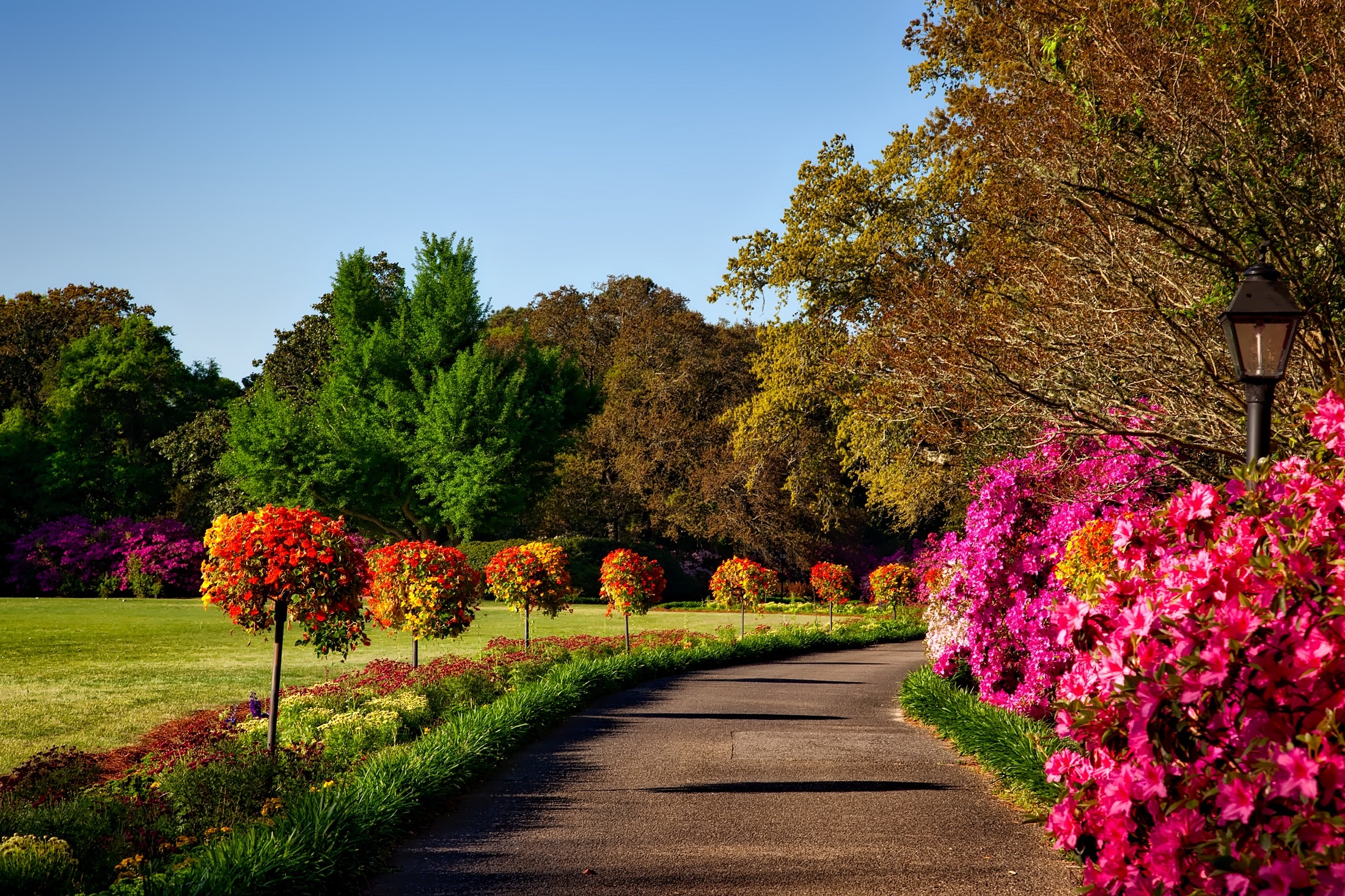 Paved walkway surrounded by trees, shrubs, and flowers