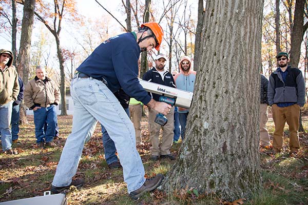 Steve Chisholm demonstrates how to use a resistograph to core a tree