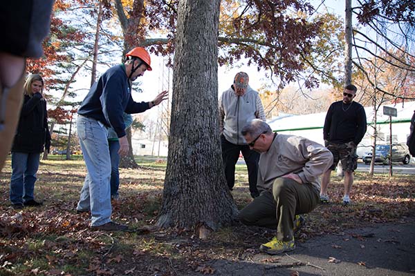 Steve Chisholm and Ted Szczawinski evaluate a tree's condition as students look on