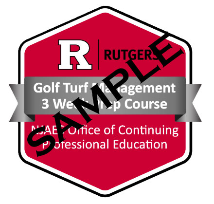 Image displays an example of the 3-Week Turf Program digital badge credential