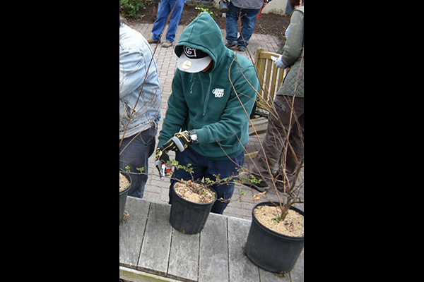 Students in the Advanced Pruning class practice with pruning shears