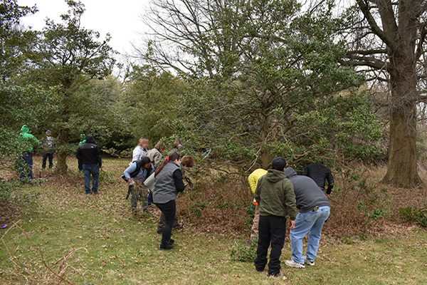 Students in the Advanced Pruning class practice the skills they learned in the classroom