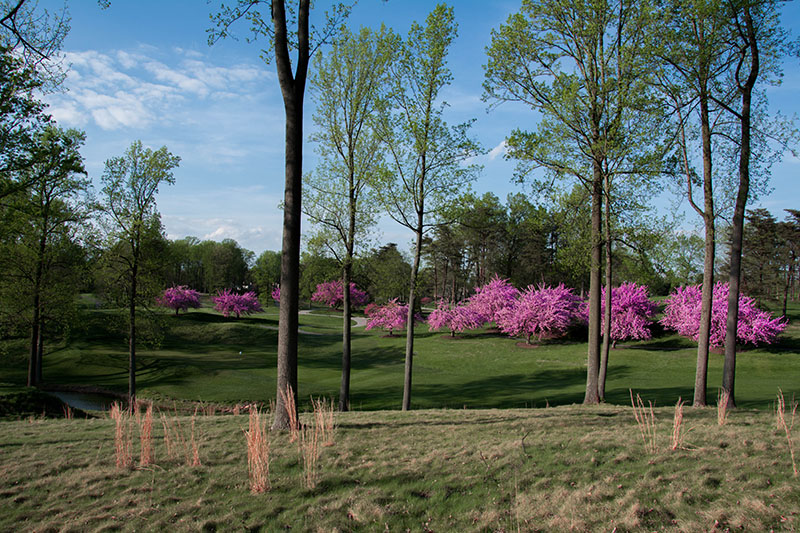 Baltimore Country Club in Baltimore, MD