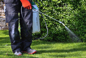 Person spraying pesticide product on lawn