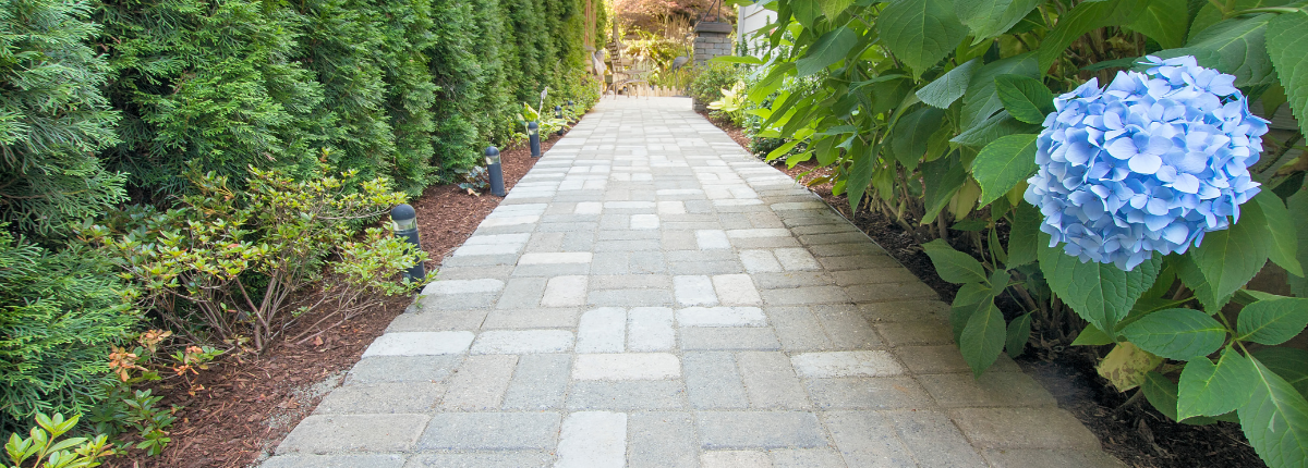 Concrete paver walkway with plants