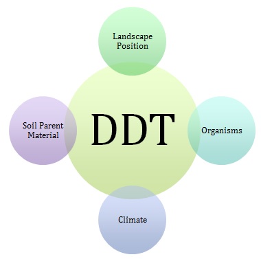 Graphic representing DDT Depth Duration Timing of Wetland Systems