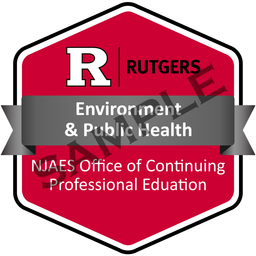 an image showing an example of a Rutgers OCPE digital badge