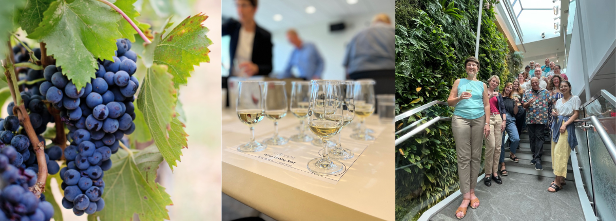 Collage of three photos of grapes, wine glasses, and Rutgers Grape and Wine Science Certificate Students