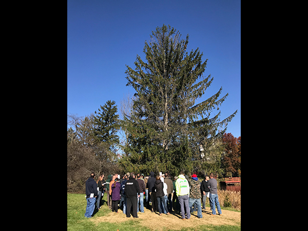 Students practice identifying plants and trees during the Introduction to Plant Identification class.