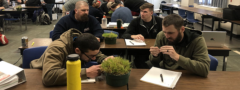 Students study a turfgrass sample in class