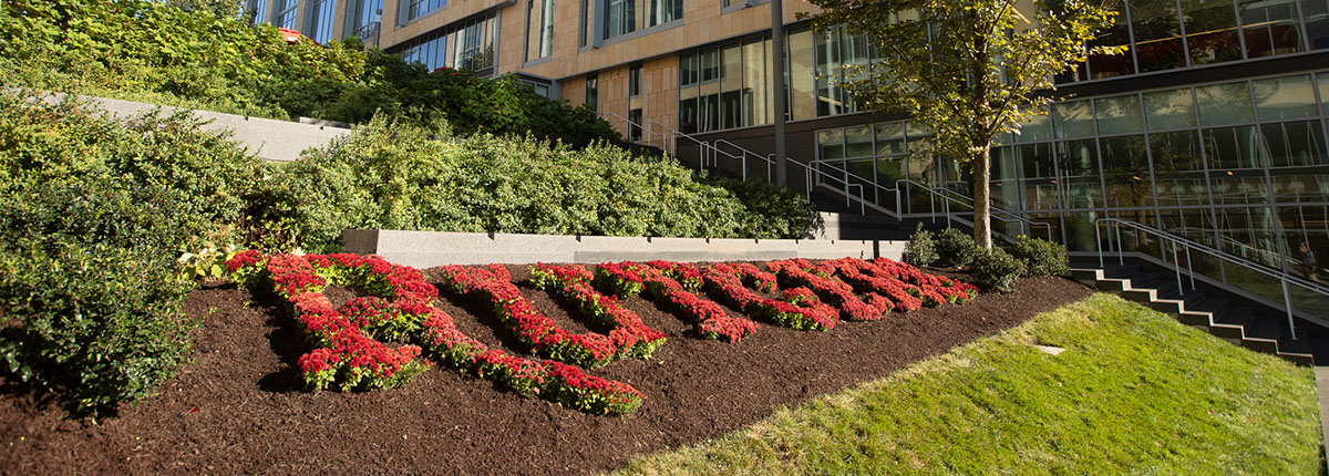 Flowers forming Rutgers lays accross field next to the Academic Building