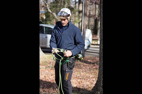 Instructor Mark Chisolm prepares for a tree climbing demonstration