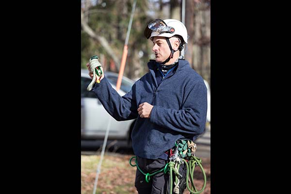 Large Tree Climbing and Rigging instructor Mark Chisholm
