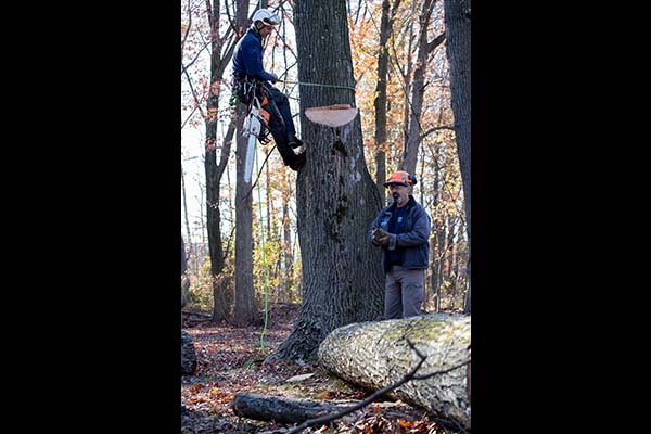 Instructors Mark and Steve Chisholm work together to teach students tree climbing and rigging techniques