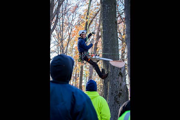 Students watch and listen as Mark Chisholm explains how to increase productivity while ensuring safety during tree work