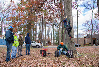 Students watch Mark and Steve Chisholm demonstrate tree climbing techniques during the Large Tree Climbing and Rigging class