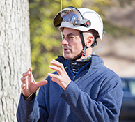 Headshot of instructor Mark Chisholm