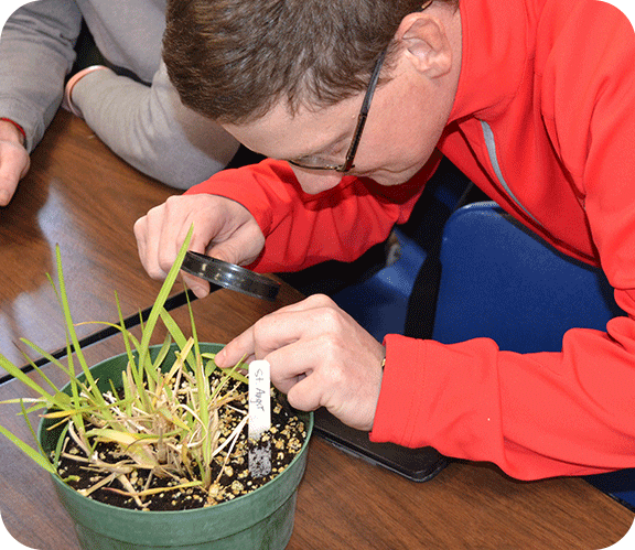 Turf student during an in-class lesson for turf identification