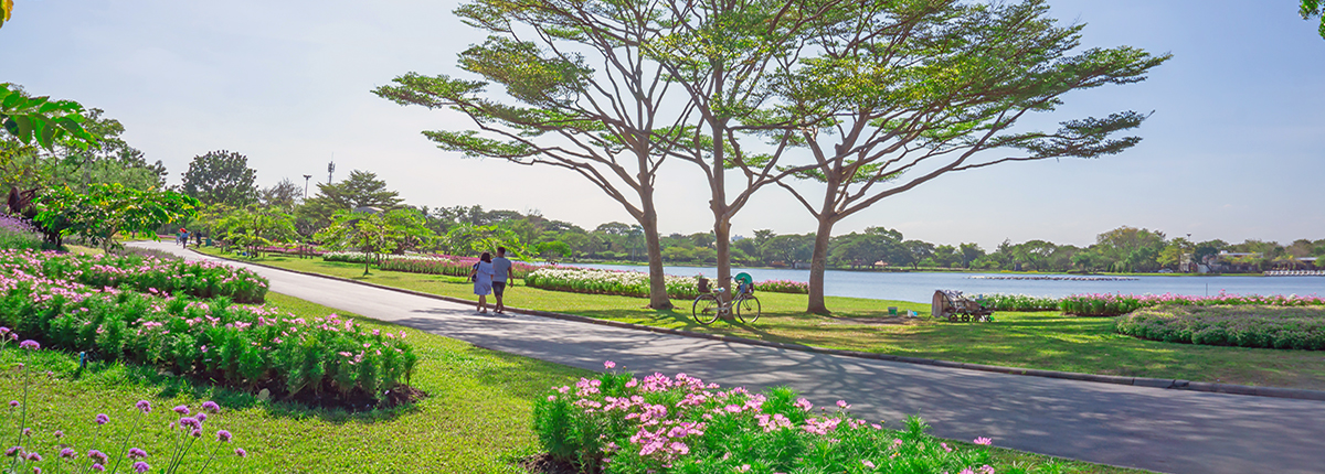 Couple strolling on paved path through well maintained park with trees and flowers