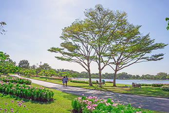 Couple strolling on paved path through well maintained park with trees and flowers