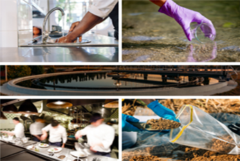 Collage of photos representing various elements of public health, including food safety, water quality testing, soil testing, and wastewater operations