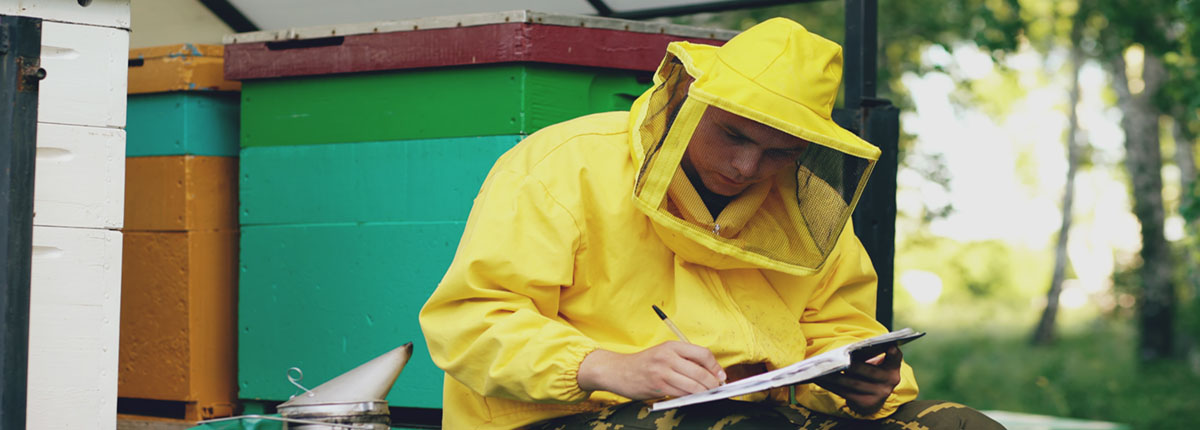 Young man beekeeper writing in notebook while sitting near beehives