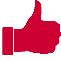 Red Thumbs Up Icon