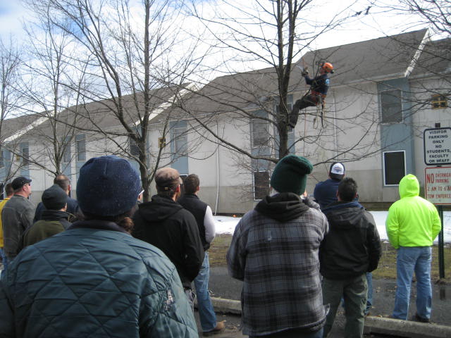 Rutgers instructor and New Jersey State Tree Climbing Champion Steve Chisholm