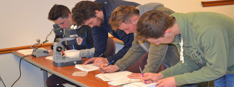 Four Turf students examine microscopes and their notes during a class session