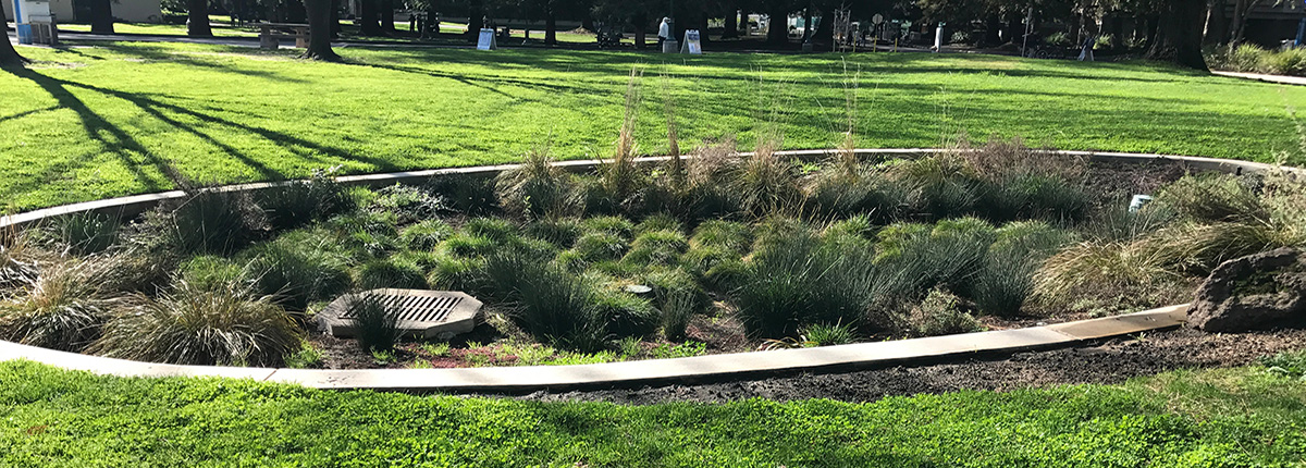 Rain garden example of sustainable landscape design practices