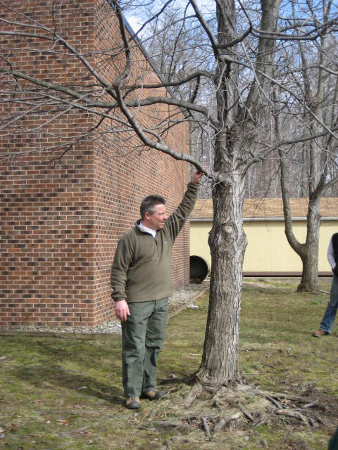 Tree Pruning course instructor Ted Szczawinski