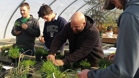 Turf students get hands-on lesson in the greenhouse