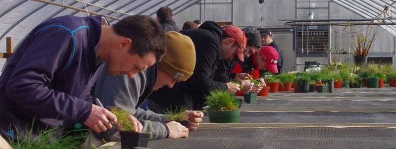 Turf students take their Turf Identification final exam.