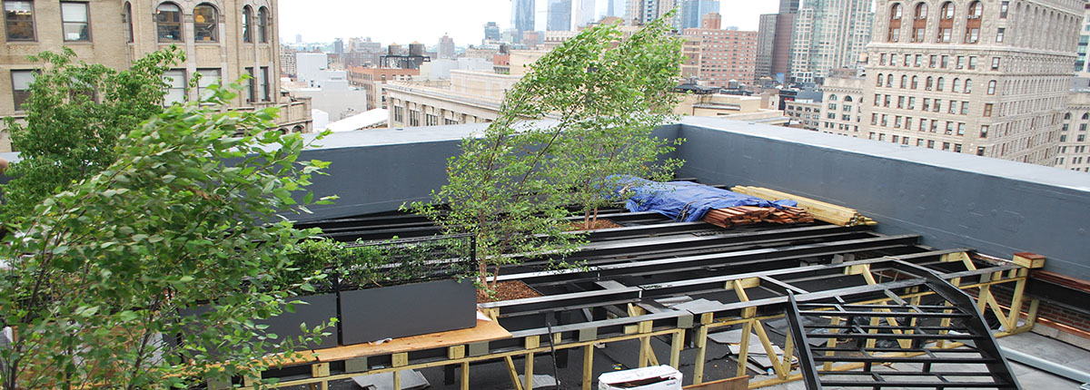 KLM Roof Garden during construction phase