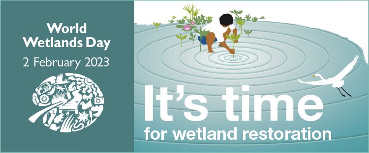 World Wetlands Day 2023 graphic - it's time for wetland restoration