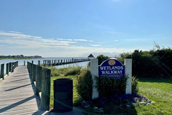 Wetlands Walkway sign next to wooden walkway leading through wetlands area