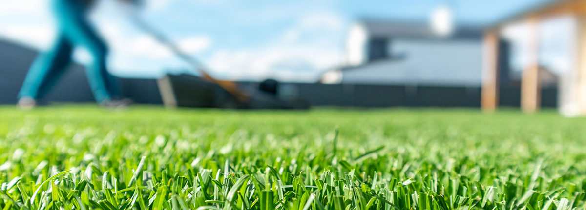 Close up of green backyard lawn with person pushing lawn mower in the background