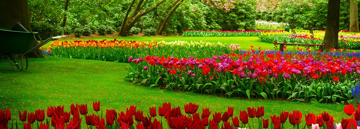 Garden beds filled with colorful flowers