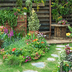 <a href="/home-gardeners-school">Home Gardening</a> Backyard garden with stepping stones, flowers, and shrubs