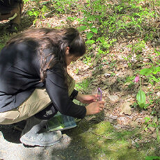<a href="/wetlands">Wetlands</a> Wetland student taking a photo of wetland vegetation
