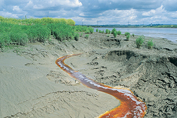 Brown discharge flowing toward river