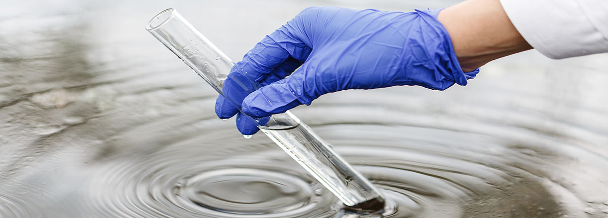 Researcher wearing blue glove holds a test tube with water