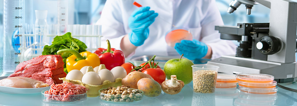 Food quality control expert inspecting food items in a laboratory