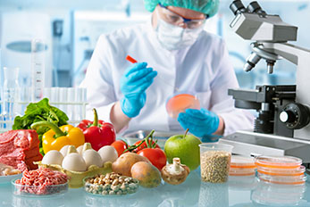 Food quality control expert inspecting food items in a laboratory
