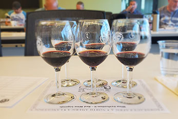 Group of wine glasses partly filled with red wine