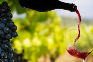 Wine glass with pouring red wine and vineyard landscape in sunny day.