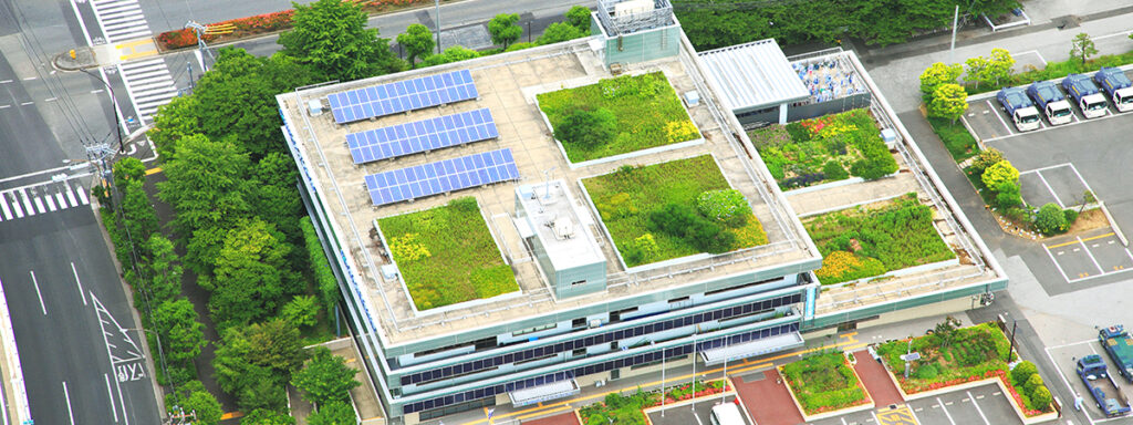 Rooftop garden representing green stormwater management practices