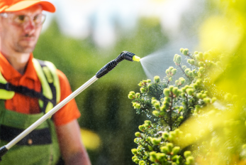 man wearing safety glasses and neon outdoor workwear spraying plant with chemicals