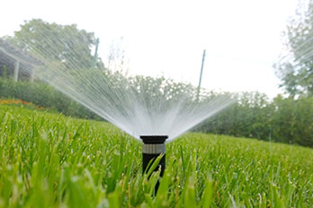 Irrigation system sprinkler head spraying water in grassy yard