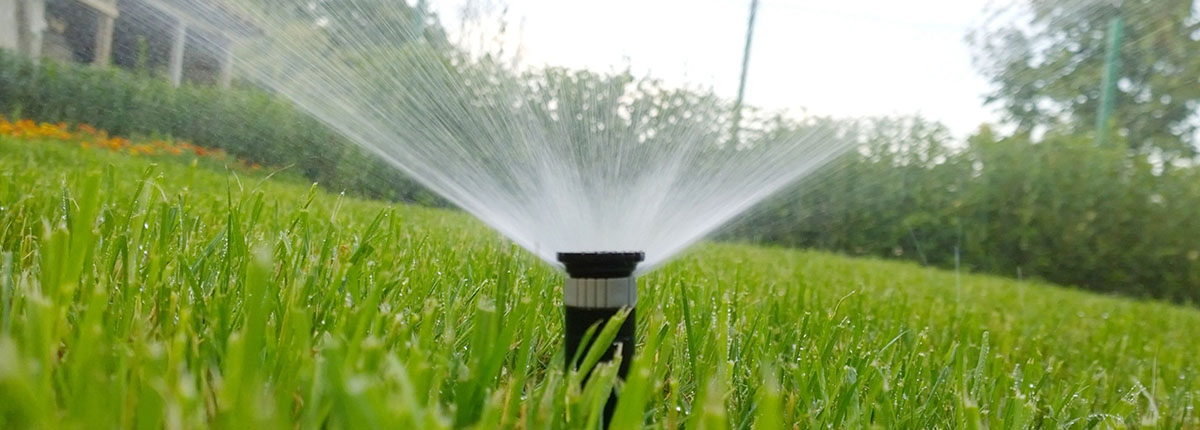 Irrigation system sprinkler head spraying water in grassy yard